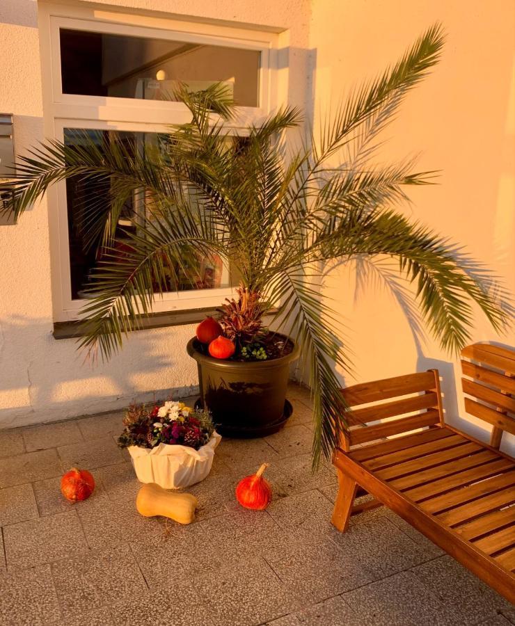 Penzion Kozi Horka U Brnenske Prehrady برنو المظهر الخارجي الصورة